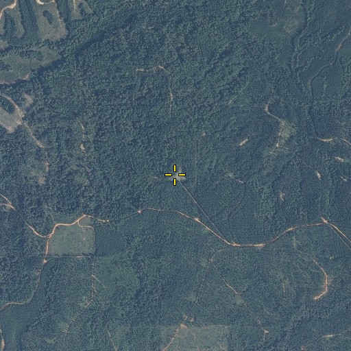 Aerial/Satellite Image of Cobb Fire Tower, AL