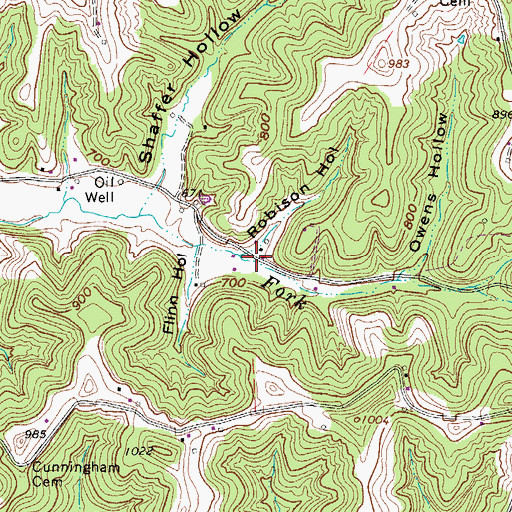 Topographic Map of Robison Hollow, WV