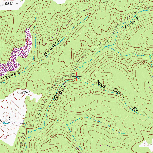 Topographic Map of Rock Camp Branch, WV