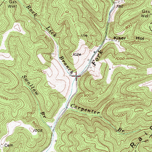 Topographic Map of Rock Lick Branch, WV