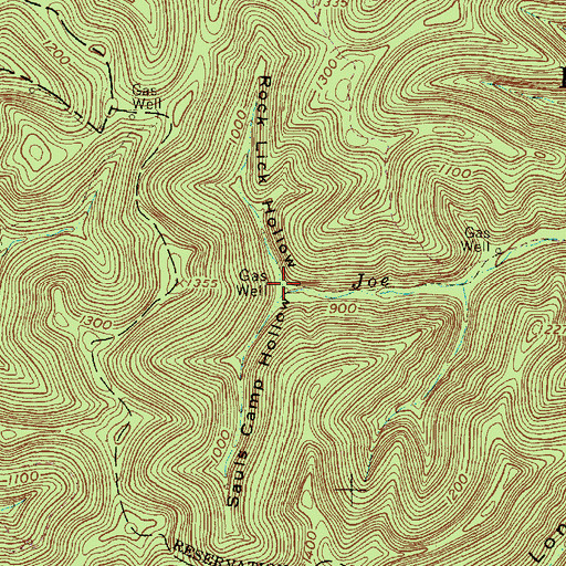 Topographic Map of Rock Lick Hollow, WV