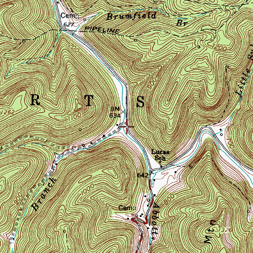 Topographic Map of Rockhouse Branch, WV