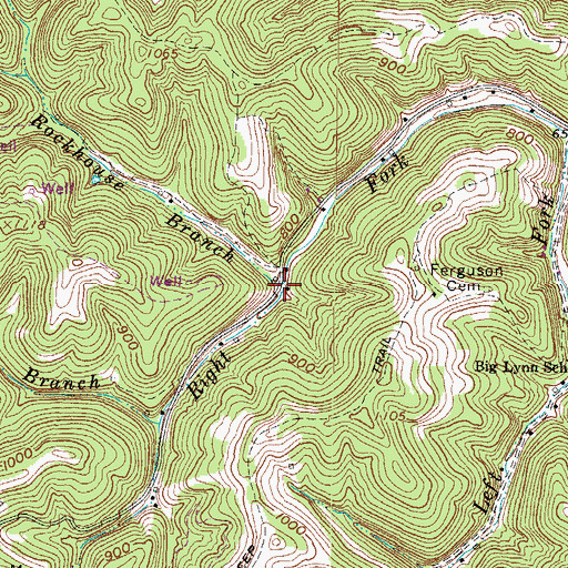 Topographic Map of Rockhouse Branch, WV
