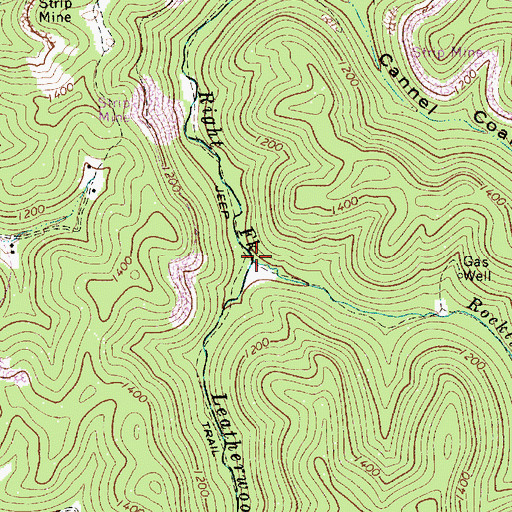 Topographic Map of Rocklick Fork, WV