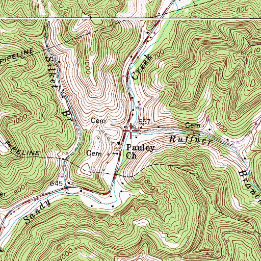 Topographic Map of Ruffner Branch, WV
