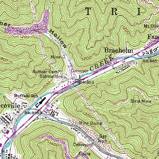 Topographic Map of Ruffner Hollow, WV