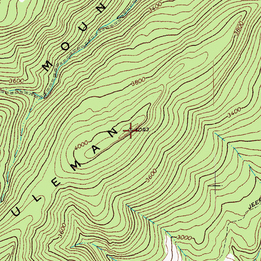 Topographic Map of Ruleman Mountain, WV