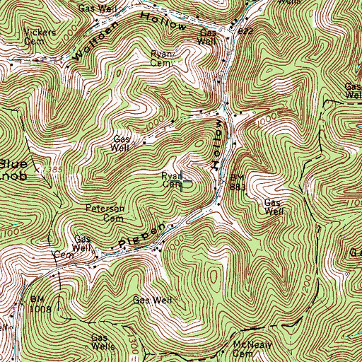 Topographic Map of Ryan Cemetery, WV