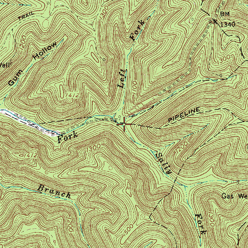 Topographic Map of Sally Fork, WV