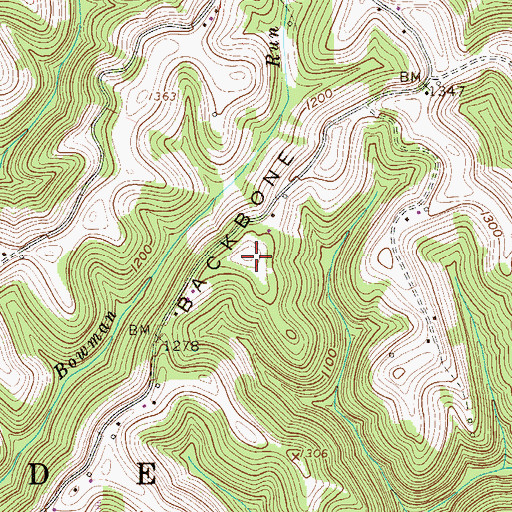 Topographic Map of Sallys Backbone Ridge, WV