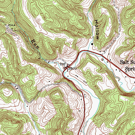 Topographic Map of Salt Sulphur Springs, WV