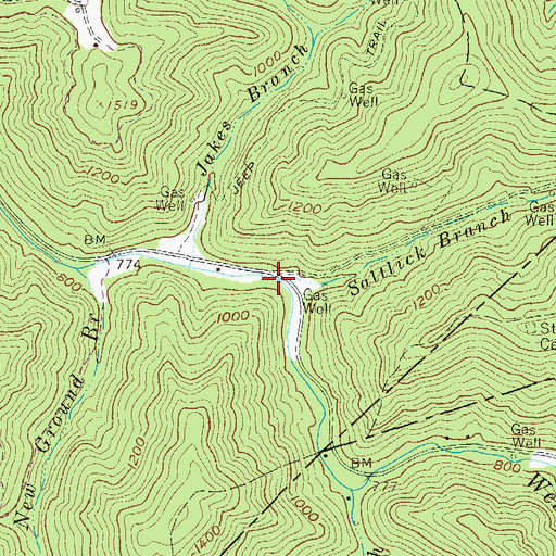 Topographic Map of Saltlick Branch, WV