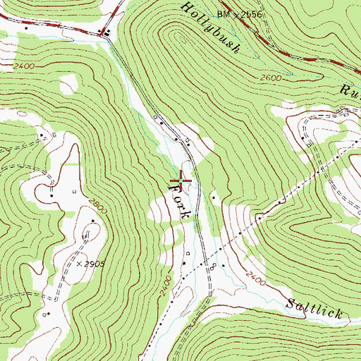 Topographic Map of Saltlick Run, WV