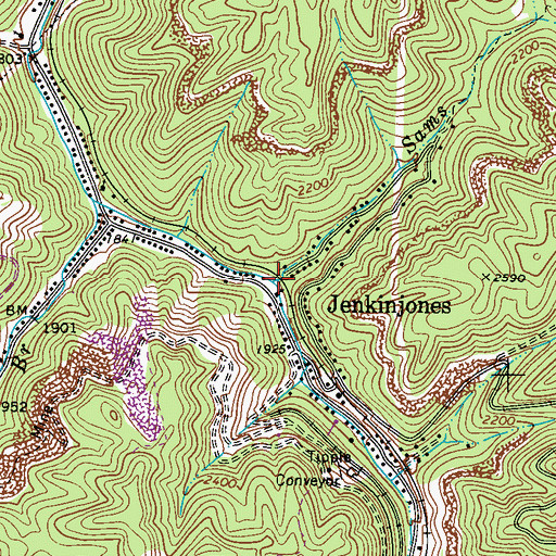 Topographic Map of Sams Branch, WV