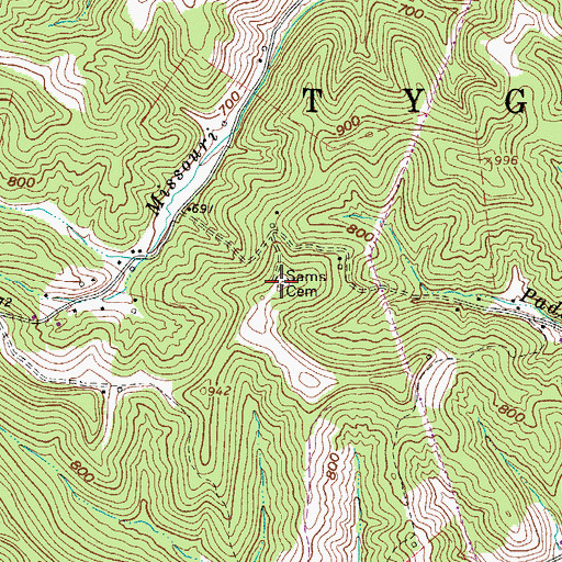 Topographic Map of Sams Cemetery, WV