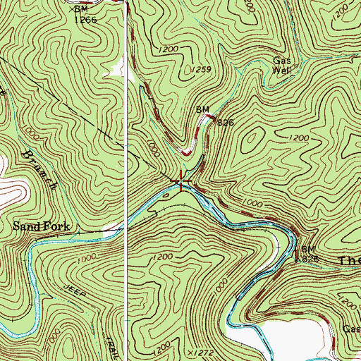 Topographic Map of Sand Fork, WV