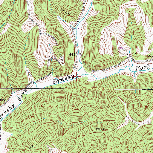 Topographic Map of Sandy Run, WV