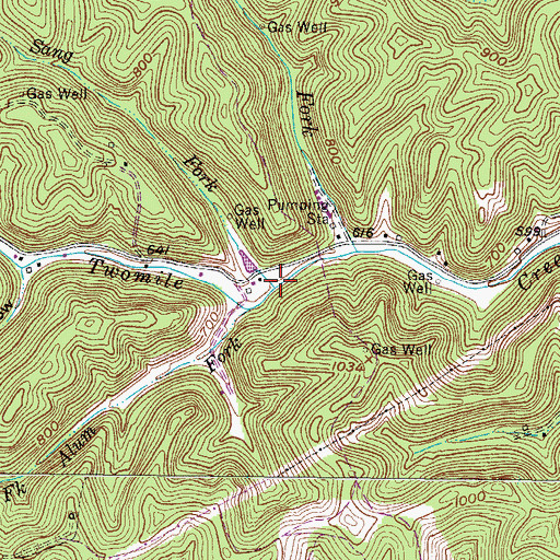 Topographic Map of Sang Fork, WV
