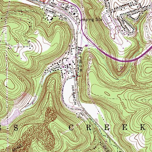 Topographic Map of Sappingtons Run, WV