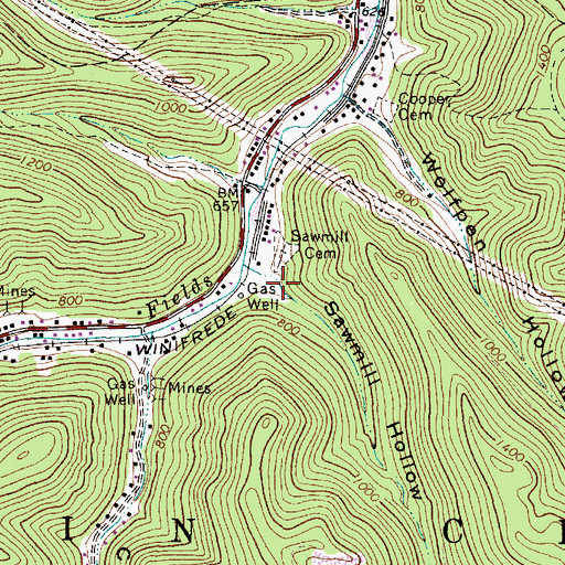 Topographic Map of Sawmill Hollow, WV