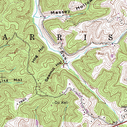 Topographic Map of Sawmill Hollow, WV