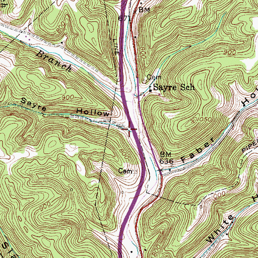 Topographic Map of Sayre Hollow, WV
