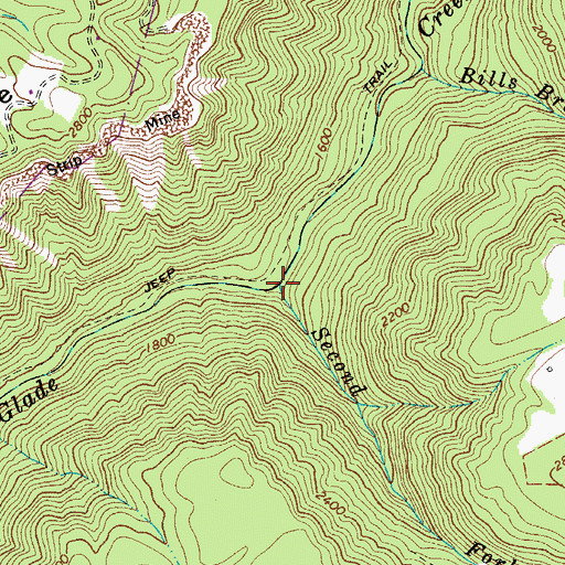 Topographic Map of Second Fork, WV