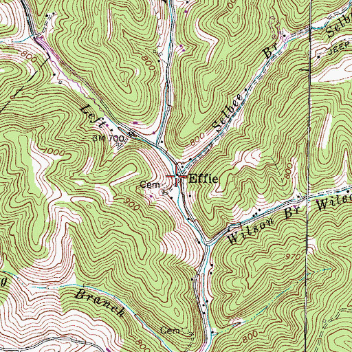 Topographic Map of Selbee Branch, WV