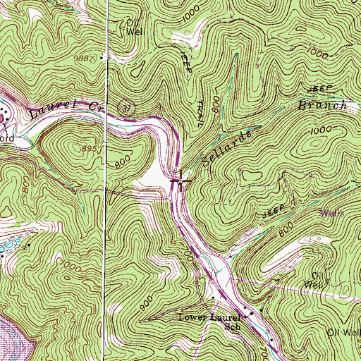 Topographic Map of Sellards Branch, WV