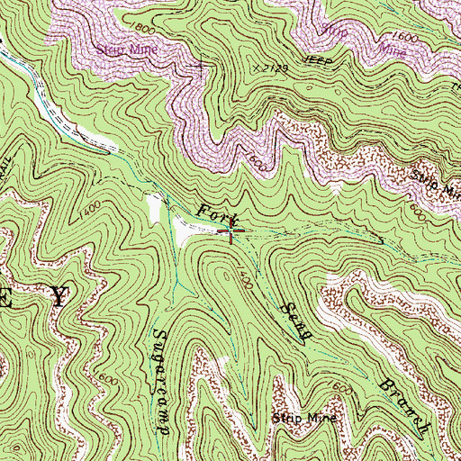 Topographic Map of Seng Branch, WV
