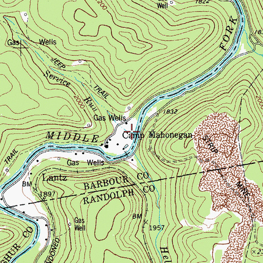 Topographic Map of Service Run, WV