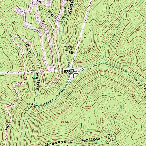 Topographic Map of Shadrick Fork, WV