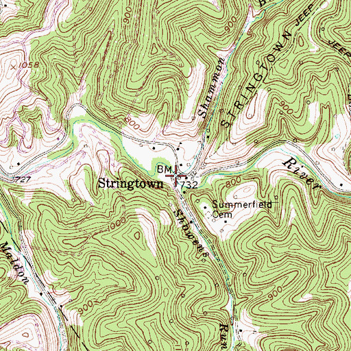 Topographic Map of Shammon Branch, WV