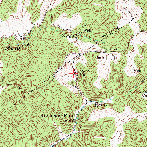 Topographic Map of Shaver Cemetery, WV