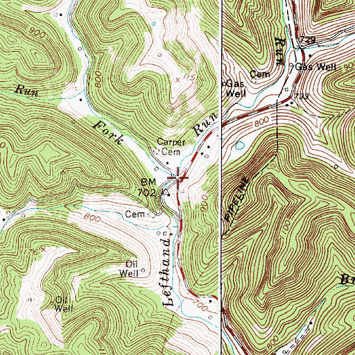 Topographic Map of Shaver Fork, WV