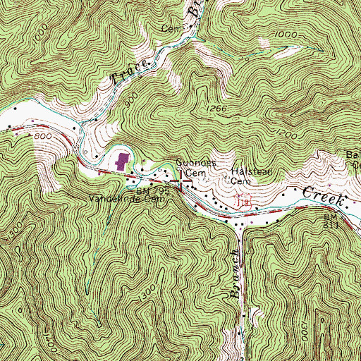 Topographic Map of Shaw Branch, WV