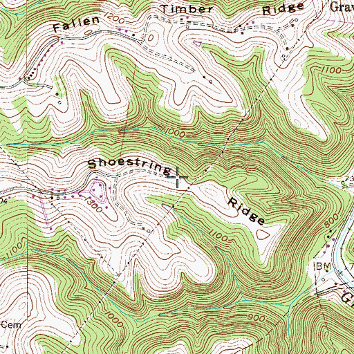 Topographic Map of Shoestring Ridge, WV