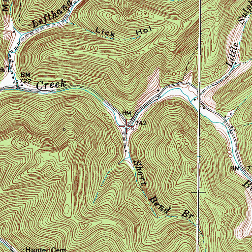 Topographic Map of Short Bend Branch, WV