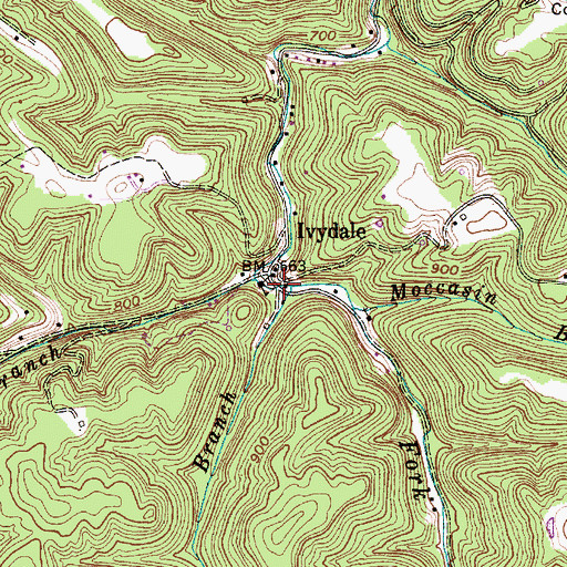 Topographic Map of Short Branch, WV