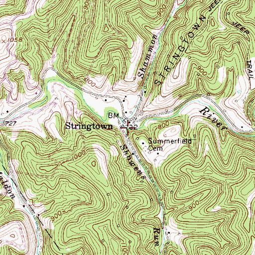 Topographic Map of Showens Run, WV