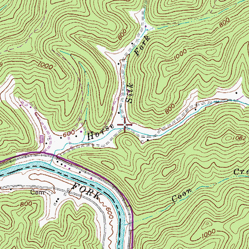 Topographic Map of Silk Fork, WV