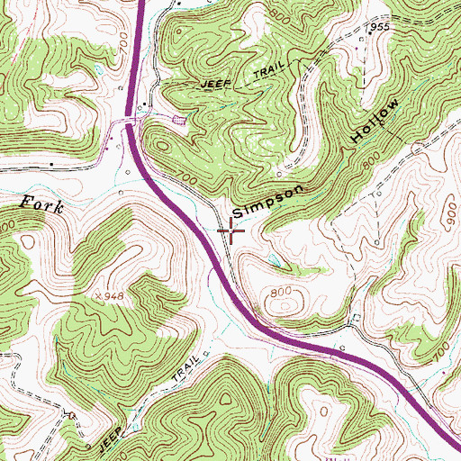 Topographic Map of Simpson Hollow, WV