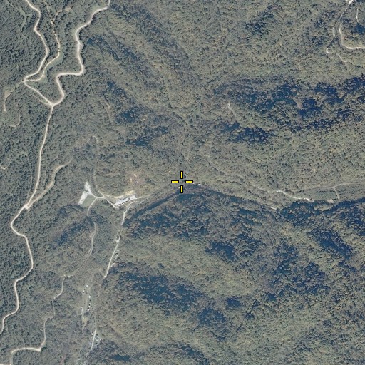 Aerial/Satellite Image of Sims Fork, WV