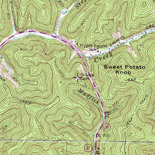 Topographic Map of Skeens Cemetery, WV