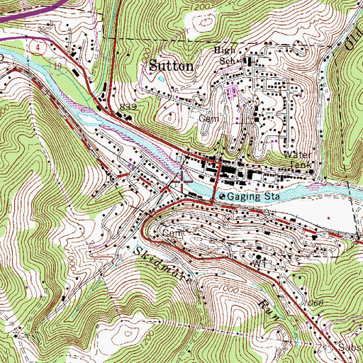 Topographic Map of Skidmore Run, WV