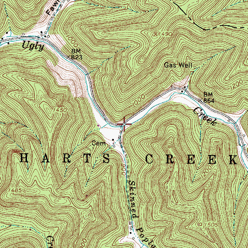 Topographic Map of Skinned Poplar Branch, WV