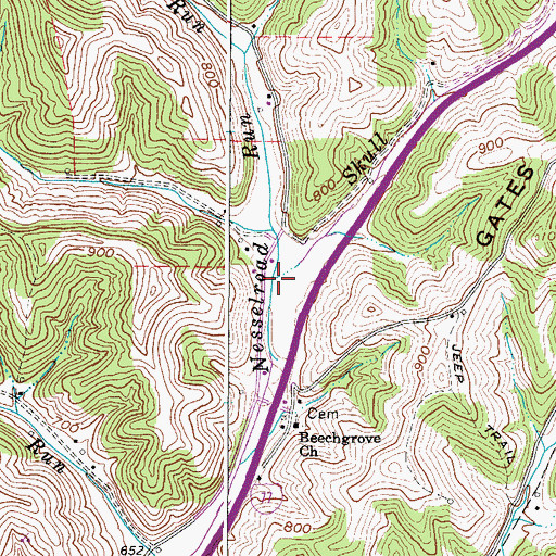 Topographic Map of Skull Run, WV