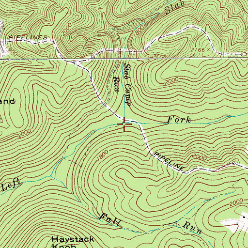 Topographic Map of Slab Camp Run, WV
