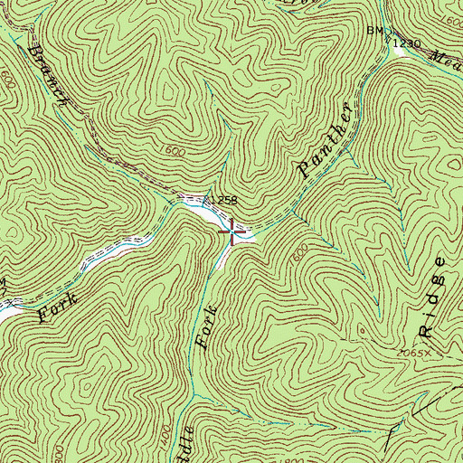 Topographic Map of Slaunch Fork, WV
