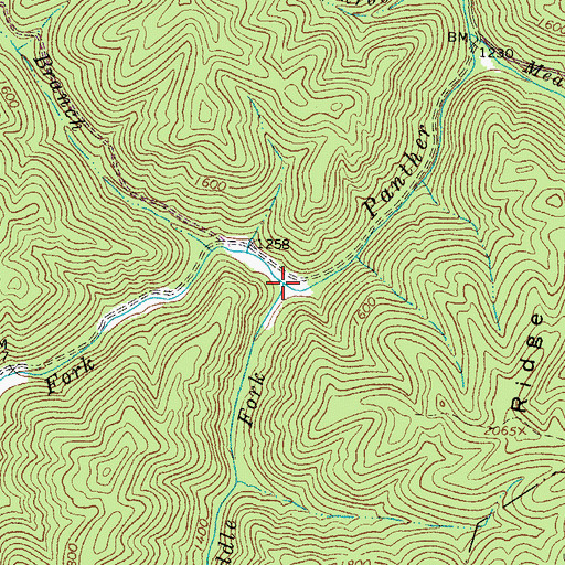 Topographic Map of Slaunch Fork, WV